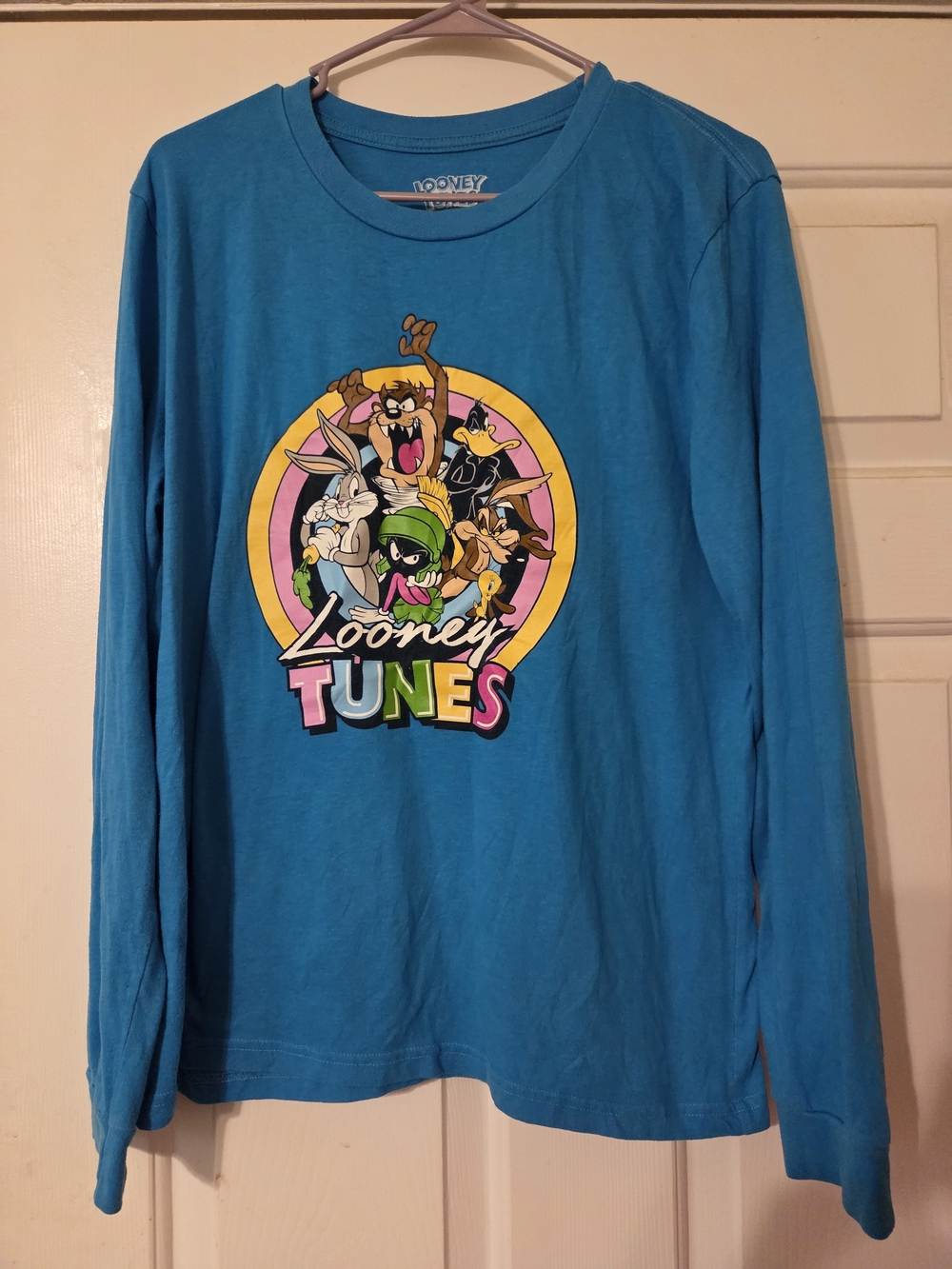 Warner Bros. Teal Looney Tunes Long-Sleeve Tee with Character Graphic
